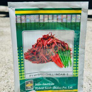 Chilli Indam