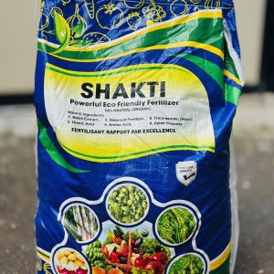 Shakti Du Sel Rapport